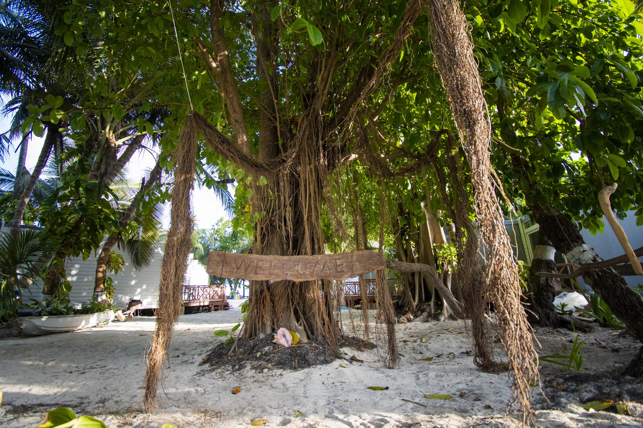 Hotel Reina Del Mar By Dorado San Andrés Extérieur photo